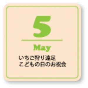 保育案内